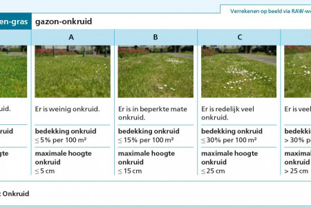 Beeldkwaliteit in RAW